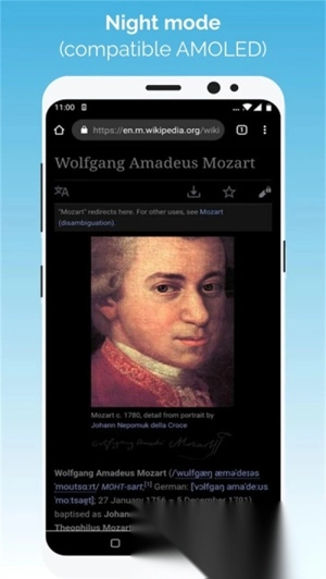 kiwi浏览器助手3