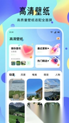 海豚壁纸图3