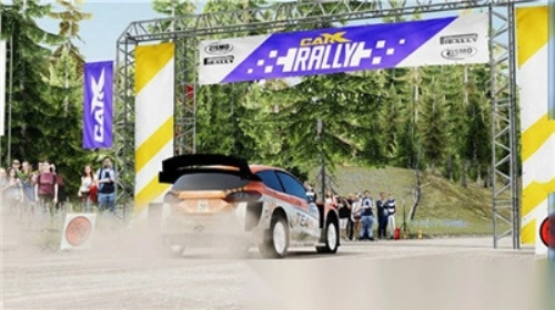 CarXRally