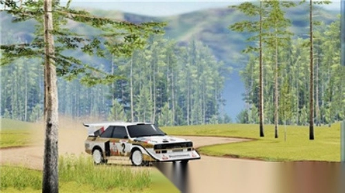 CarXRally