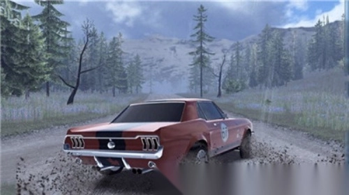 CarXRally