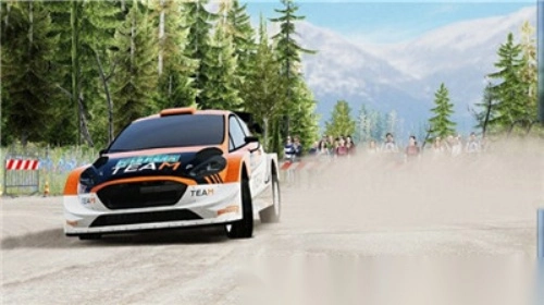 CarXRally