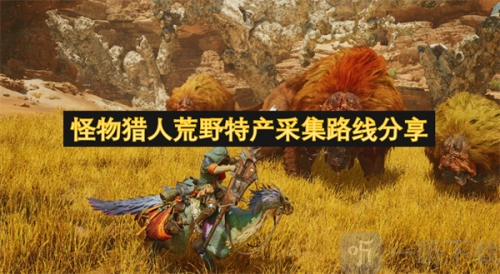 怪物猎人荒野特产采集路线的分享与攻略