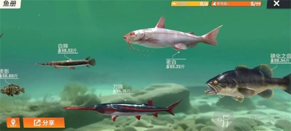 《欢乐钓鱼大师》鱼类图鉴全览，涵盖欢乐钓鱼大师所有种类的鱼图鉴