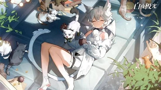 白夜极光水队纯色配队阵容该怎么搭配？纯色队伍搭配有哪些推荐？