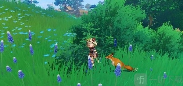 《原神》稻妻特色动物有哪些？容彩诗镜其二拍摄画片流程介绍