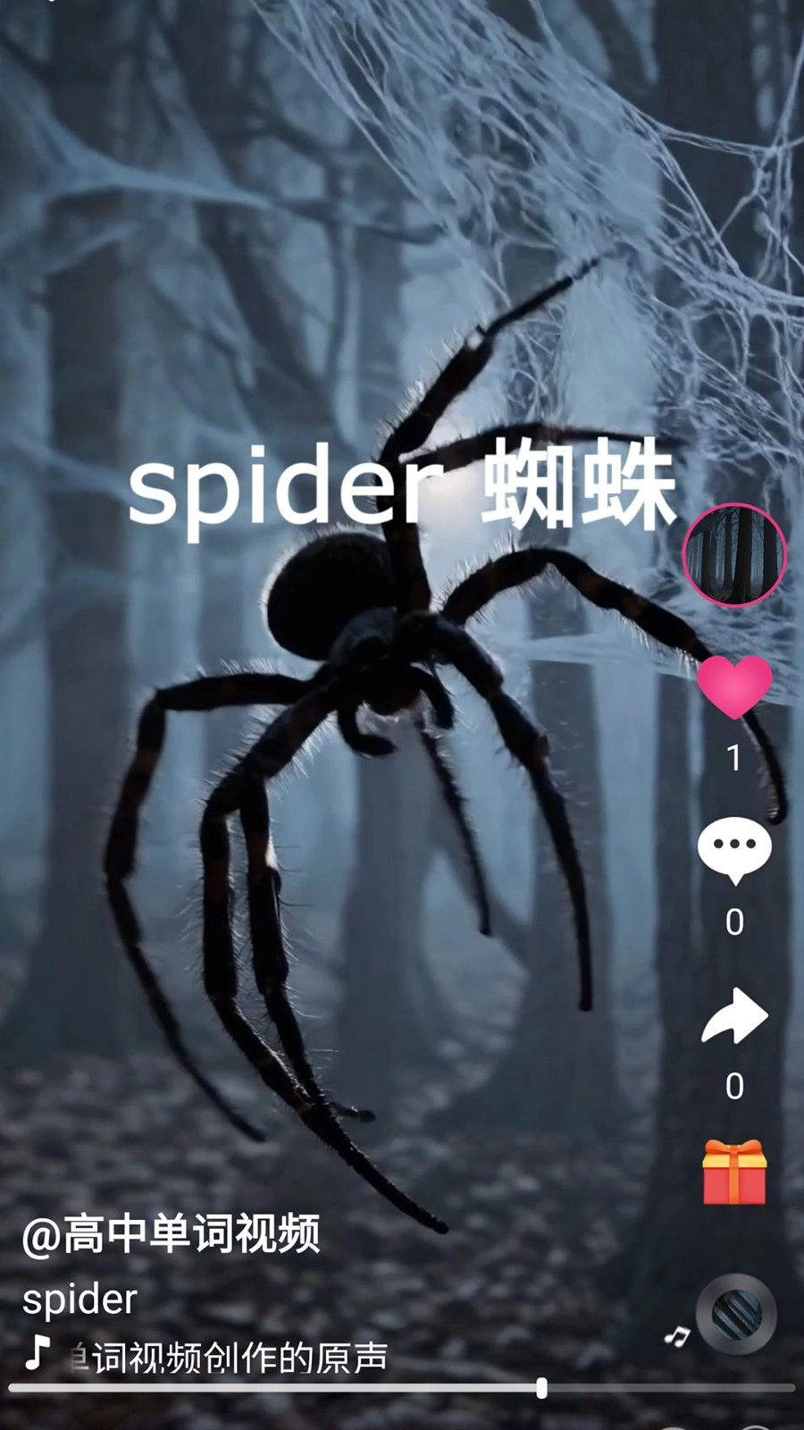刷单词图2