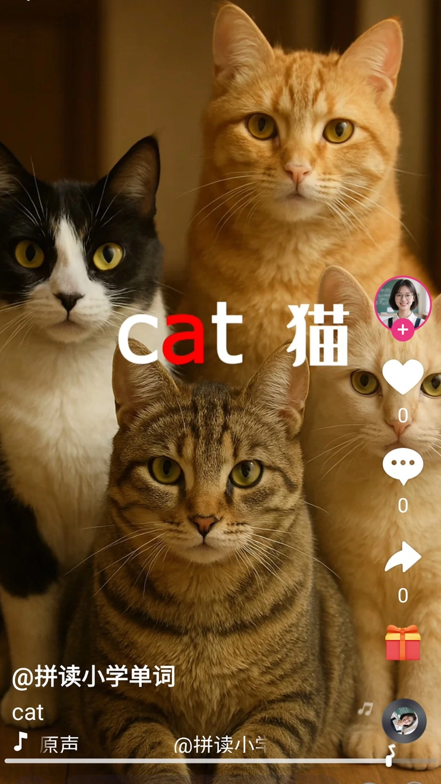 刷单词图5