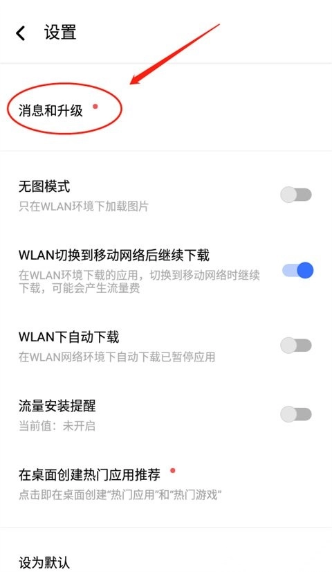 消息和升级选项