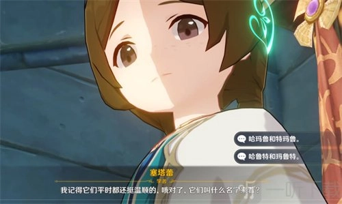 《原神》里两只猫的名字分别是什么？塞塔蕾的猫名字大分享