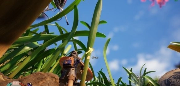 《禁闭求生》中原材料该如何获取？grounded原材料获取方法全攻略