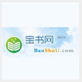 宝书网txt小说