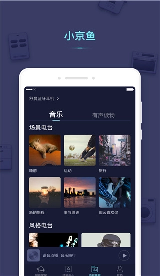 小京鱼图2