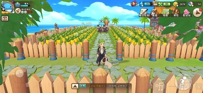 悠长假期里向日葵的种植方法详细介绍