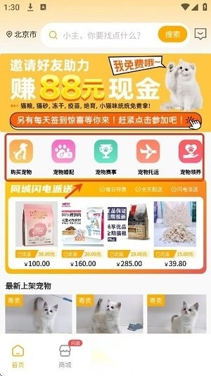 喵鑫球宠物