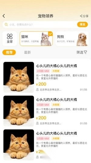 喵鑫球宠物