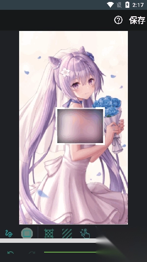 模糊视频和图片