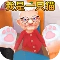 猫猫游乐园