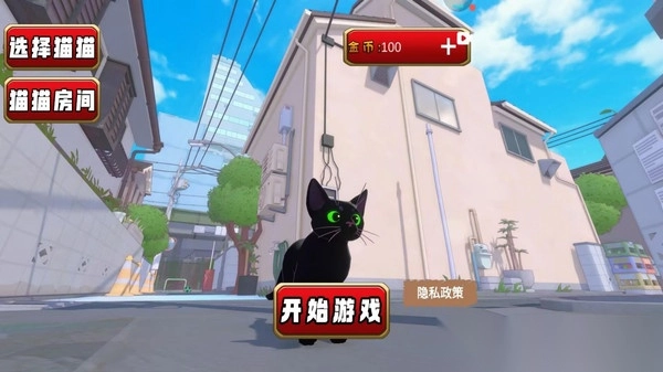 猫猫游乐园(1)