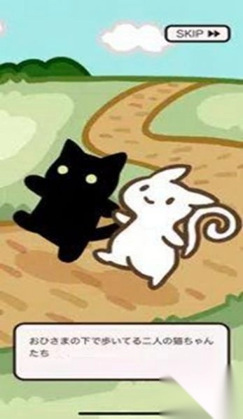 猫咪逃出双人房