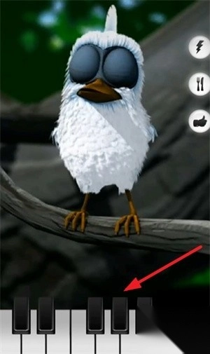 会说话的拉里鸟图1