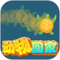 动物回家