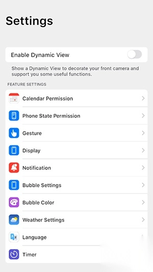 DynamicView