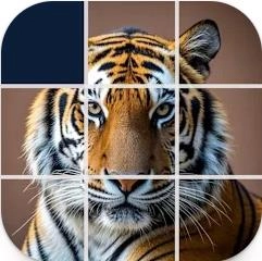 经典方块挑战 v14