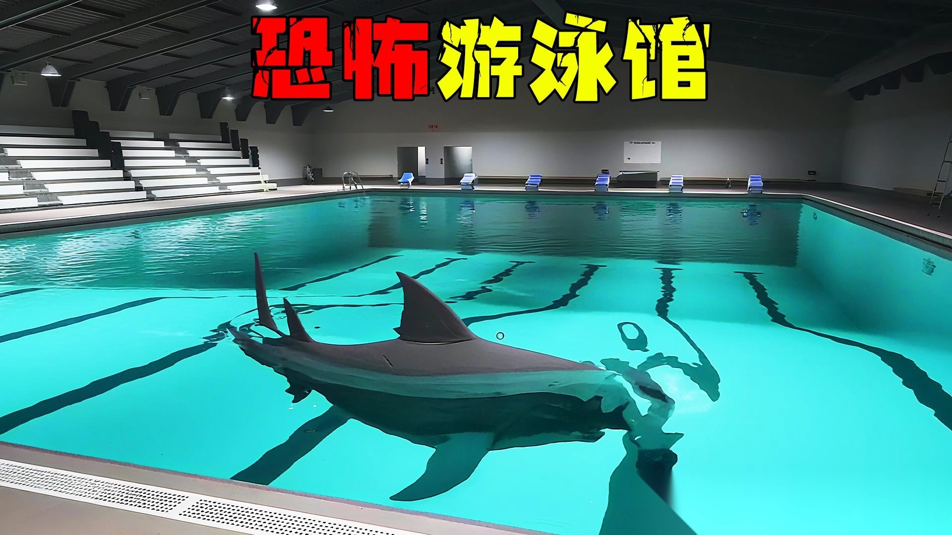 鲨鱼生存进化模拟4