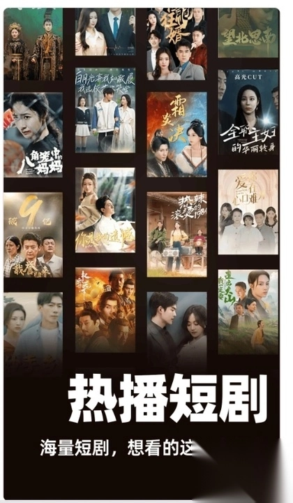 西红柿免费短剧图2