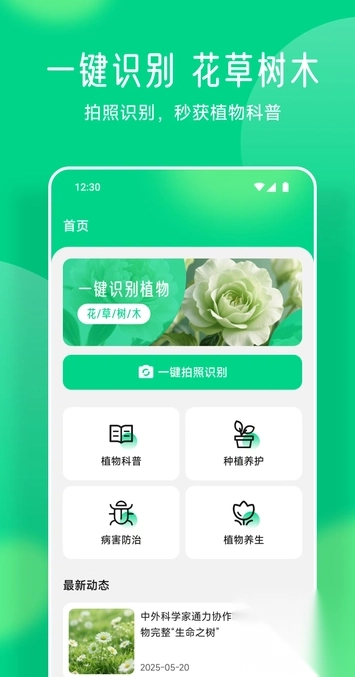 易花花语
