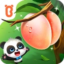 宝宝爱水果