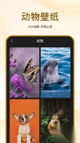 手机屏保一键换