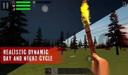 幸存者遗忘的森林(1)