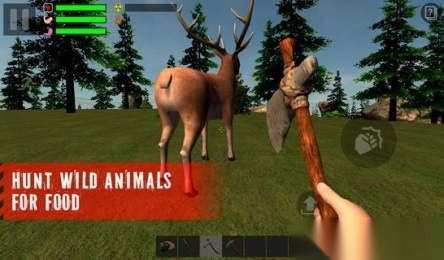 幸存者遗忘的森林(4)