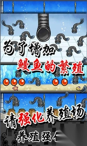 鳗鱼养殖场