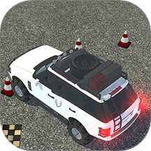 真实模拟司机驾驶