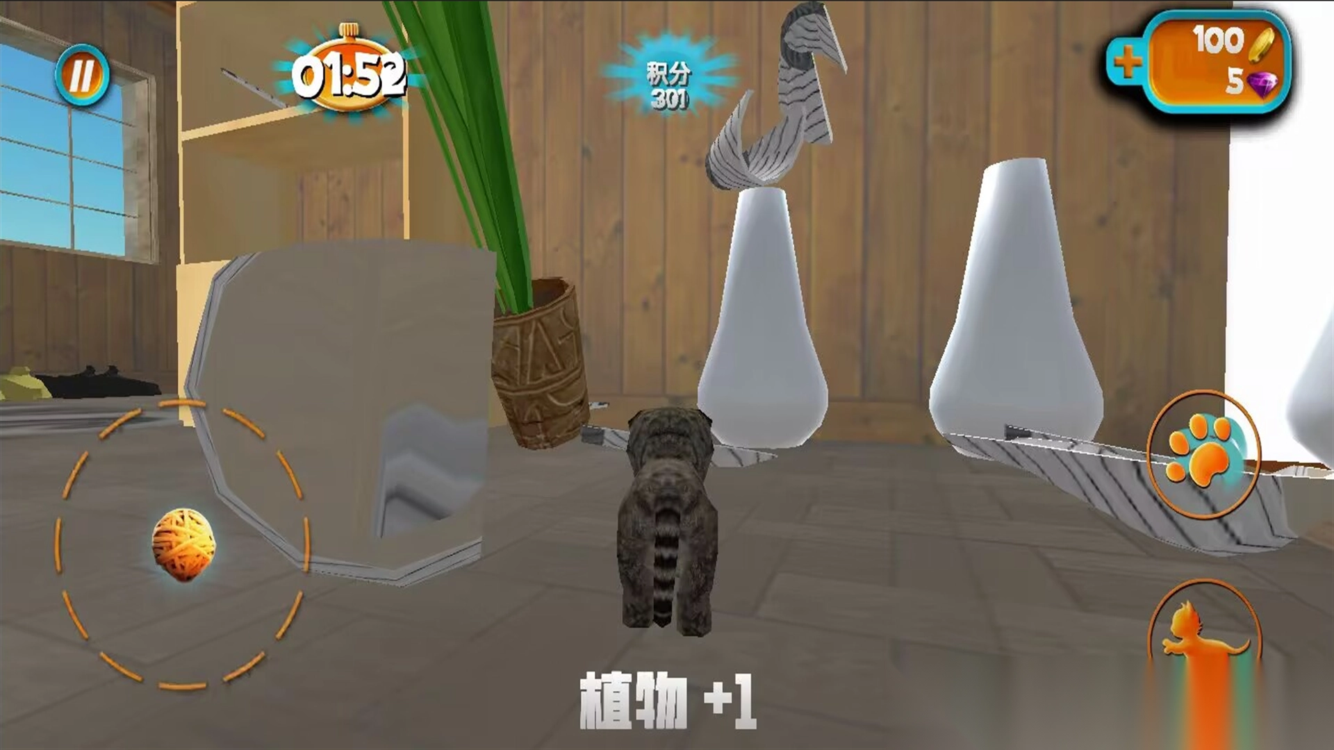 奶奶贴心小猫图2