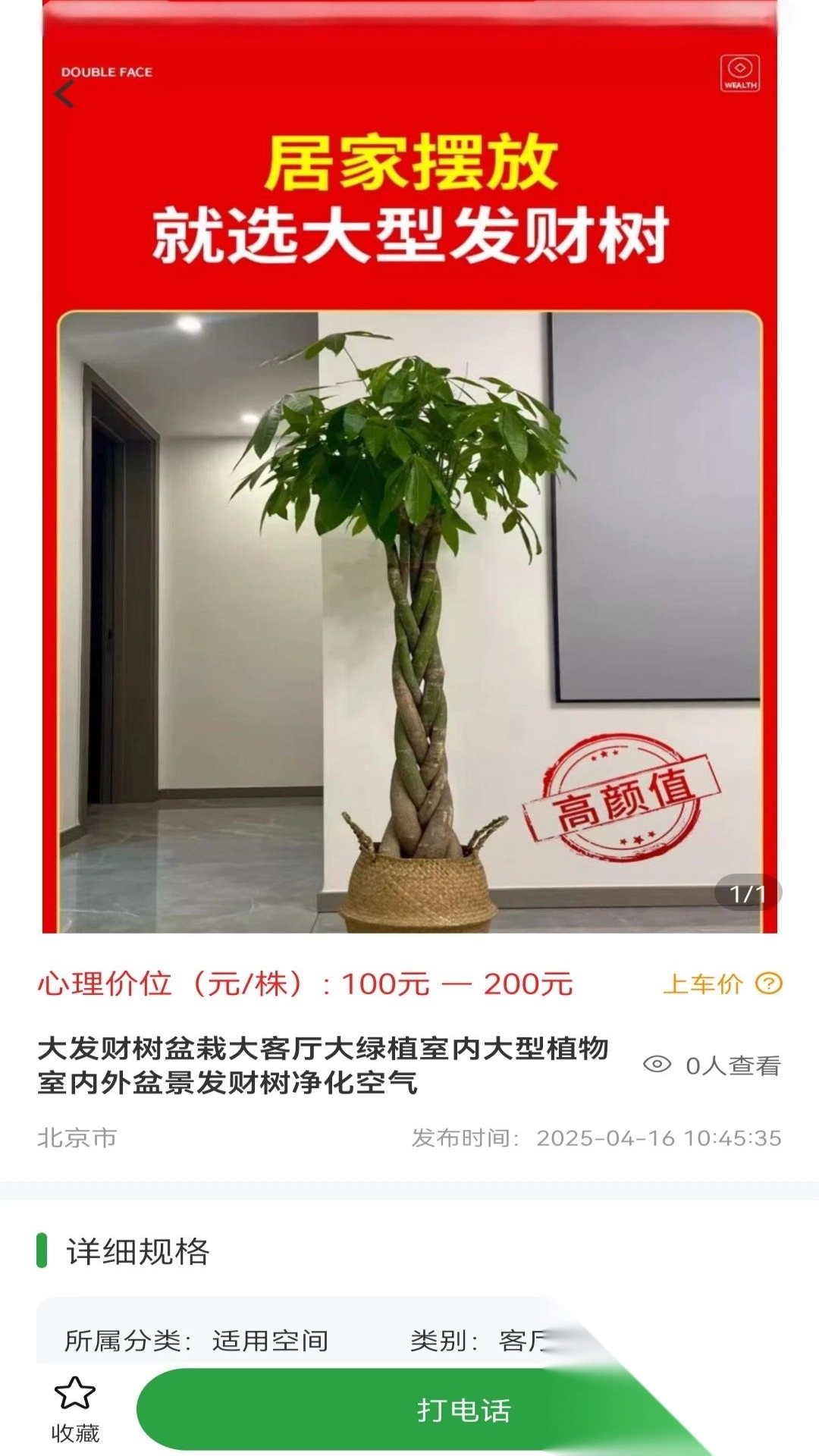 苗木嘉