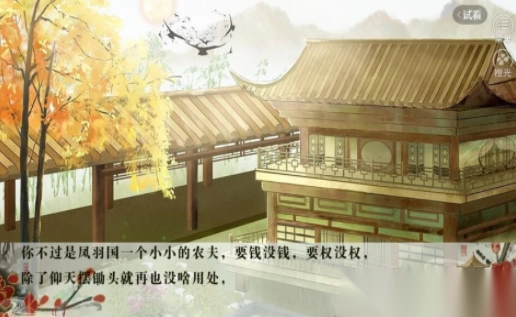 妻主猎美人