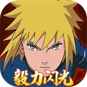 毅力火影全忍者版