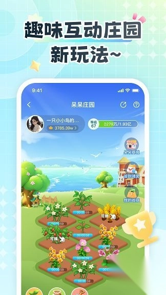 呆呆岛