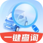 免费违章易查