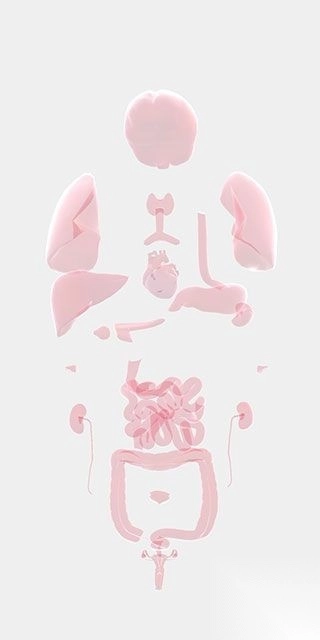 生命人体模拟器2