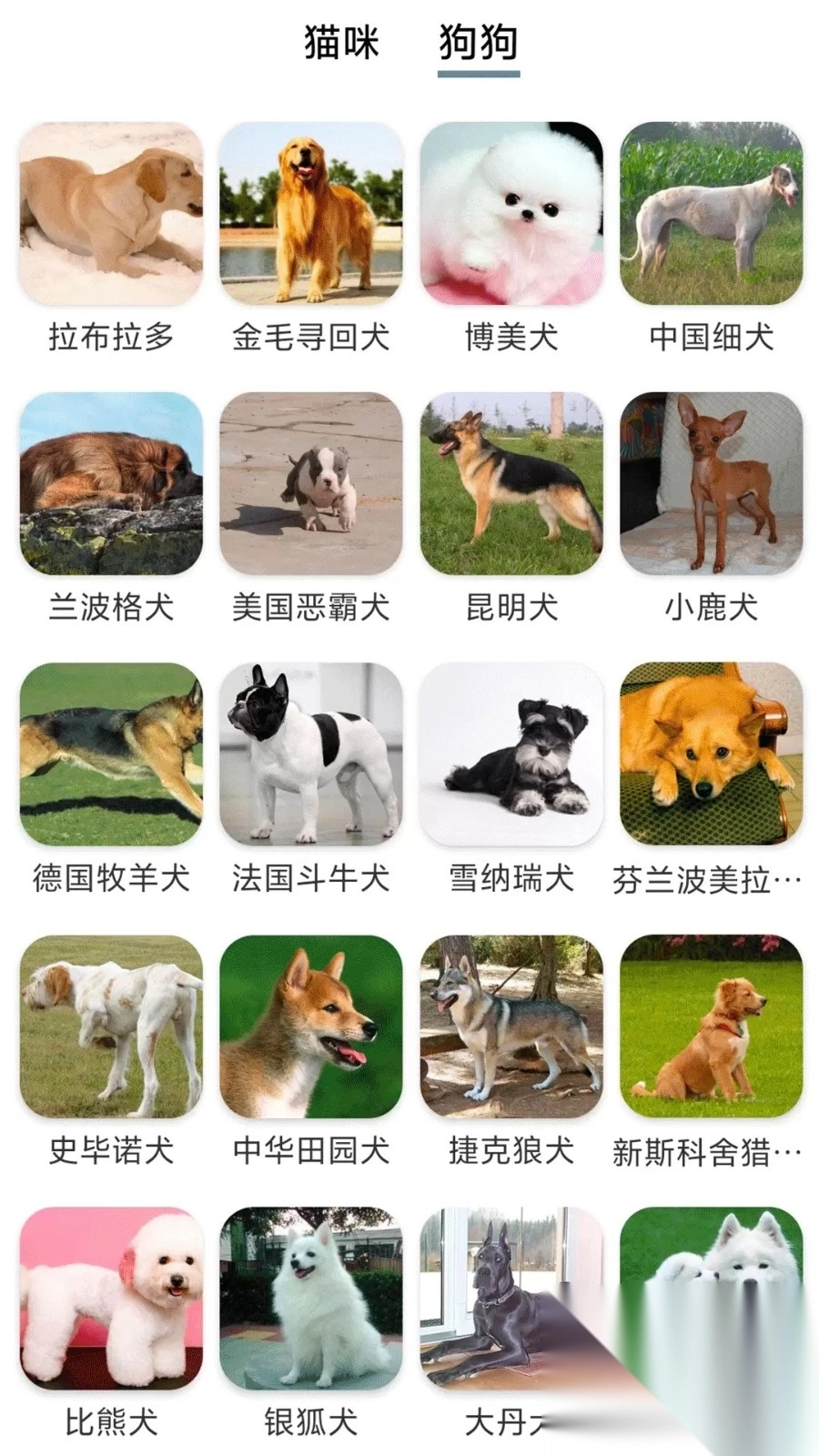 舞动来电秀
