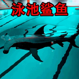 恐怖游泳池