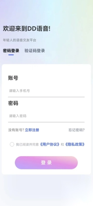 DD语音