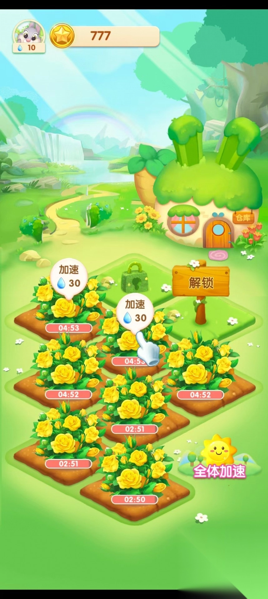 天天种花