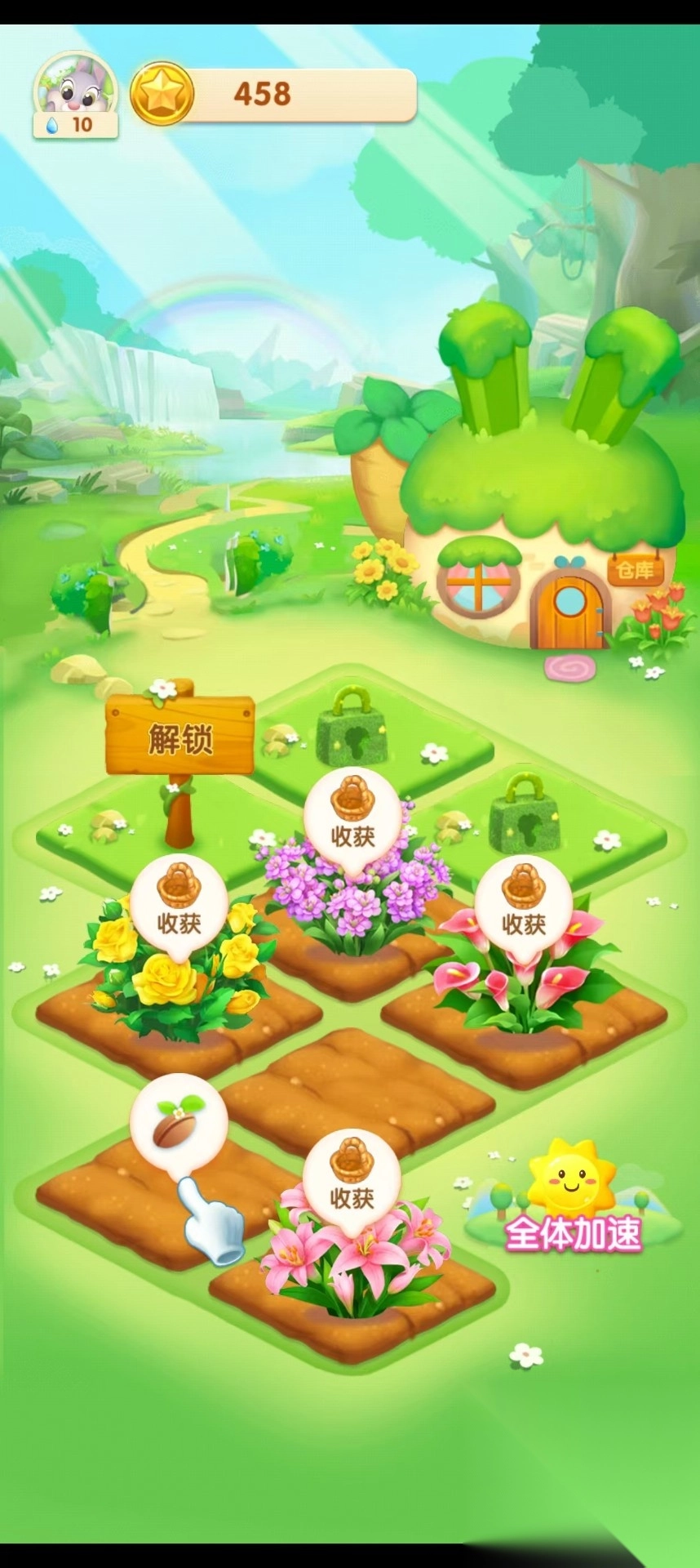天天种花