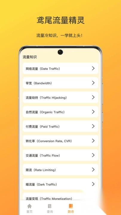 鸢尾流量精灵图3